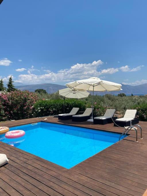 Georges Villa Galaxidi, Family, Pool And Garden Kültér fotó