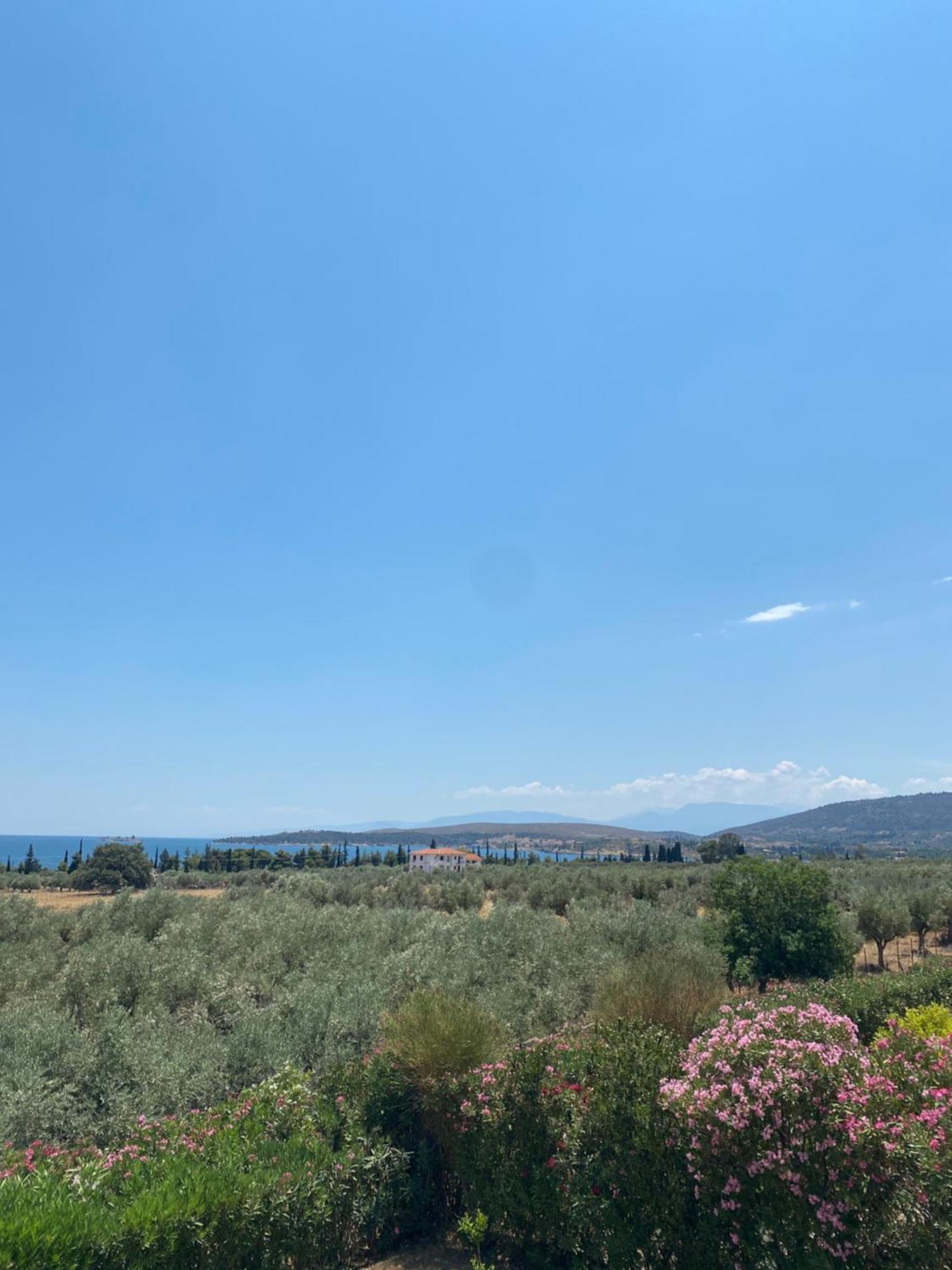 Georges Villa Galaxidi, Family, Pool And Garden Kültér fotó