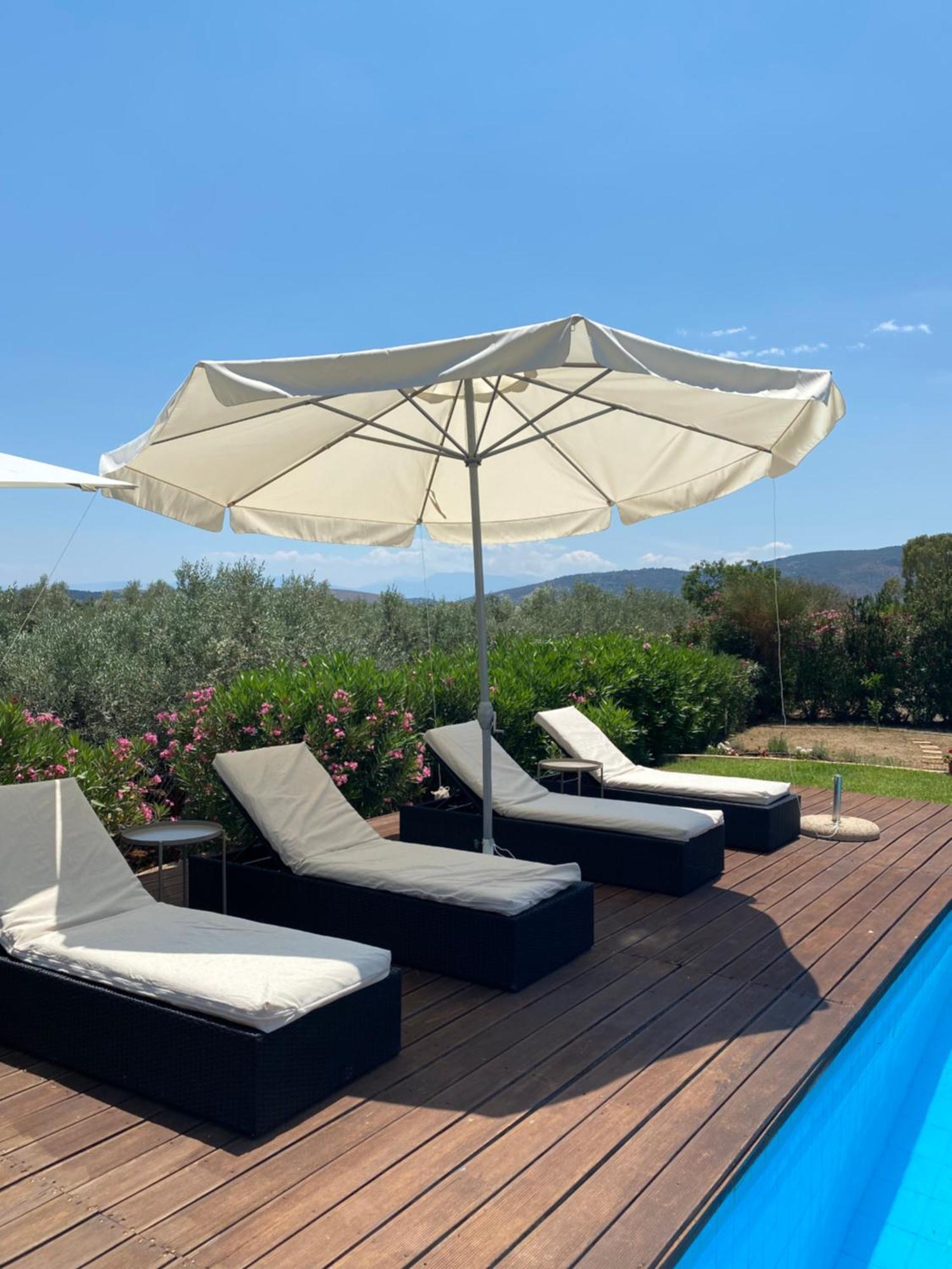 Georges Villa Galaxidi, Family, Pool And Garden Kültér fotó