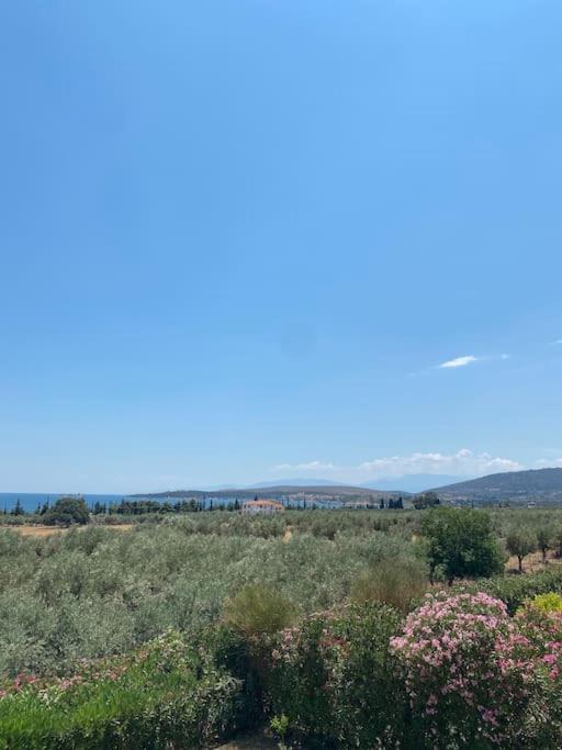 Georges Villa Galaxidi, Family, Pool And Garden Kültér fotó