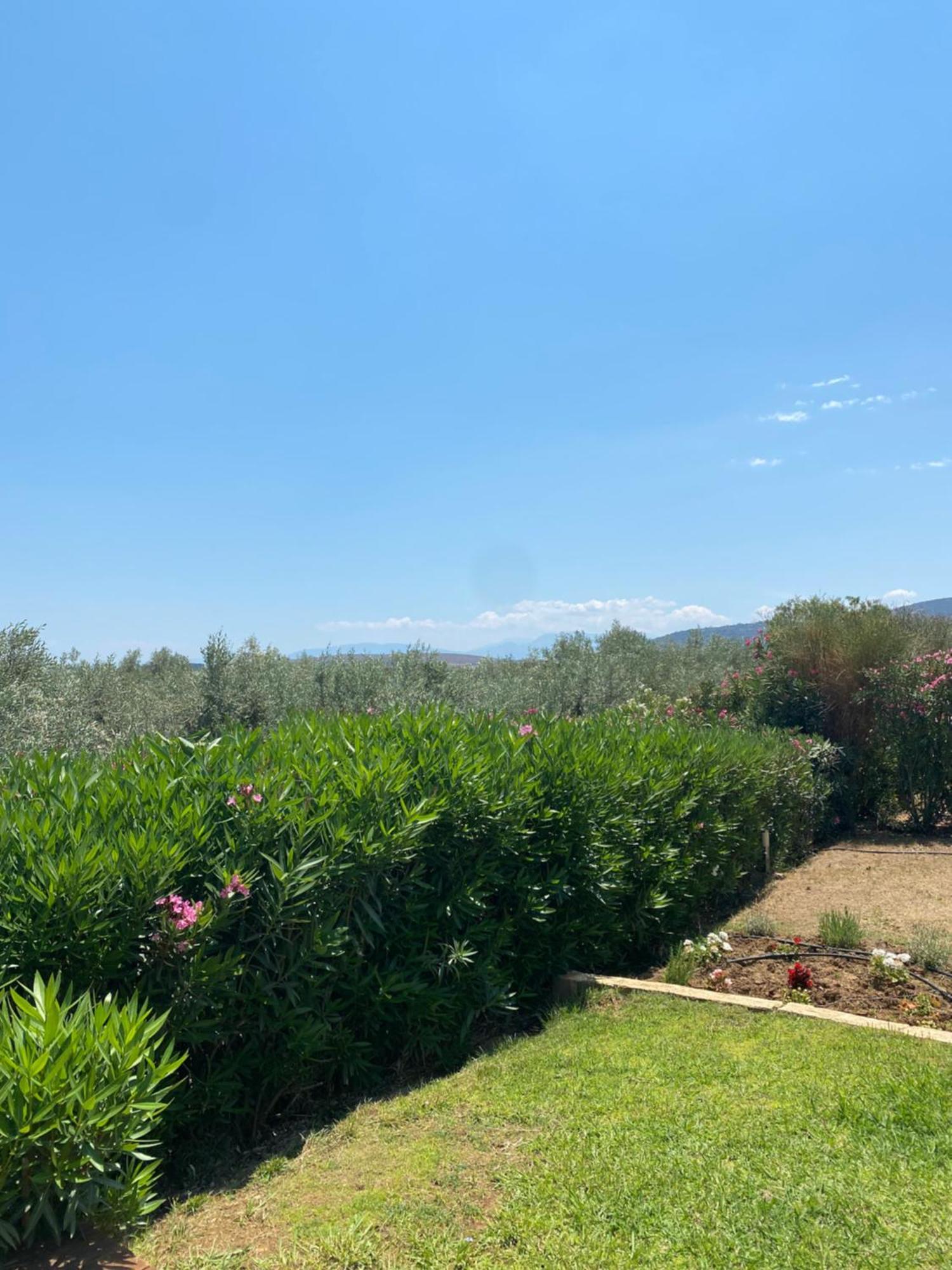 Georges Villa Galaxidi, Family, Pool And Garden Kültér fotó