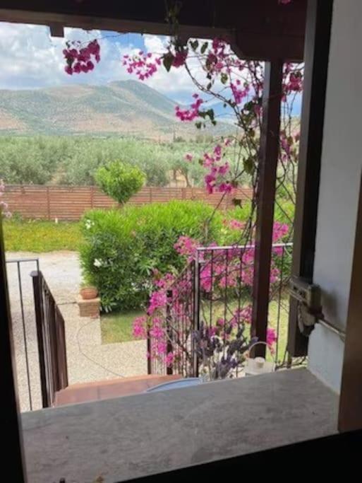 Georges Villa Galaxidi, Family, Pool And Garden Kültér fotó