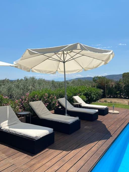 Georges Villa Galaxidi, Family, Pool And Garden Kültér fotó