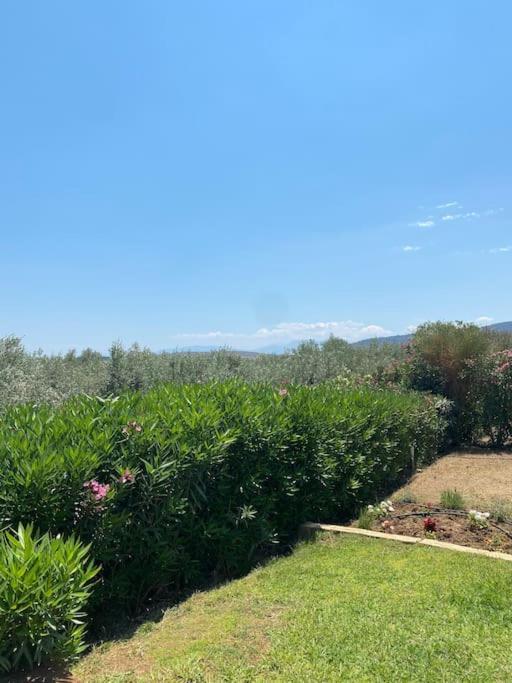 Georges Villa Galaxidi, Family, Pool And Garden Kültér fotó