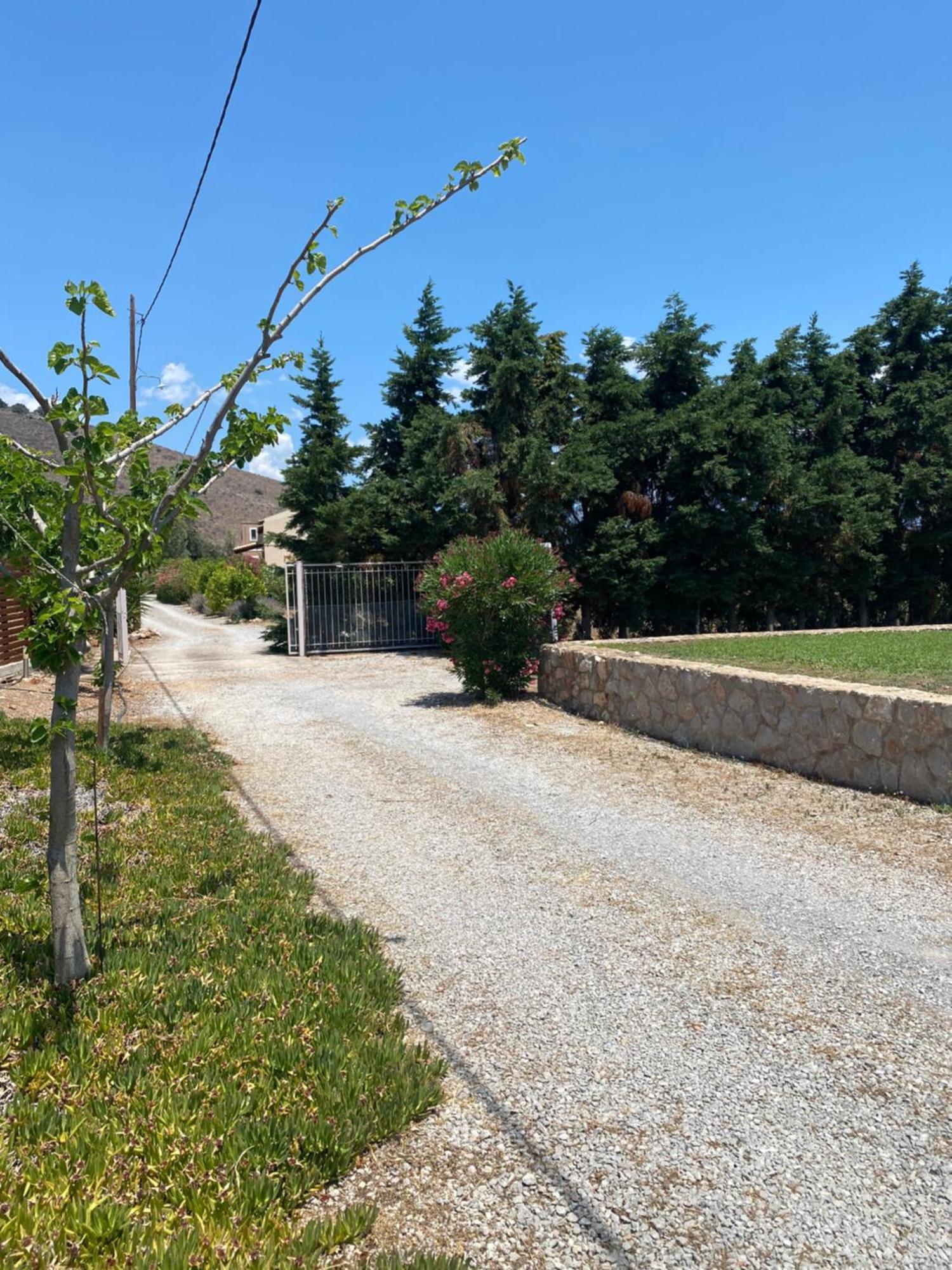Georges Villa Galaxidi, Family, Pool And Garden Kültér fotó